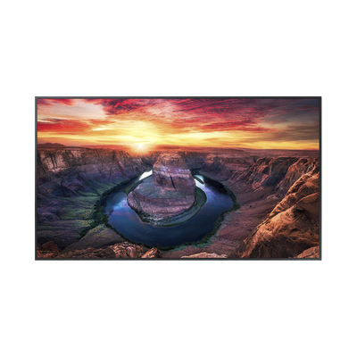 Pantalla Profesional LED de 55", UHD 4K (3840x2160p), Entradas de Video HDMI/DisplayPort, Bocinas Integradas de 10 W. Compatible VESA. Modo de Simulación DICOM